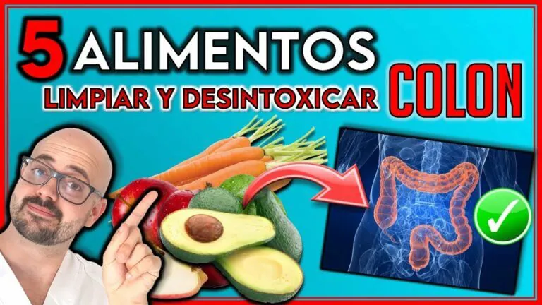 Qu Alimentos Ayudan A Limpiar El Colon Actualizado Octubre