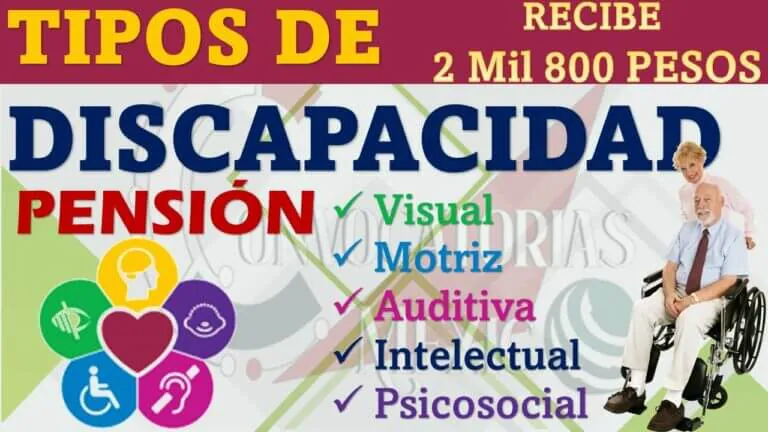 Que discapacidades entran en el programa bienestar