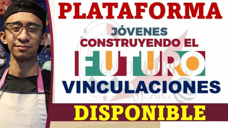 Jovenes construyendo el futuro plataforma tutores