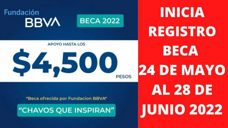 Bbva becas