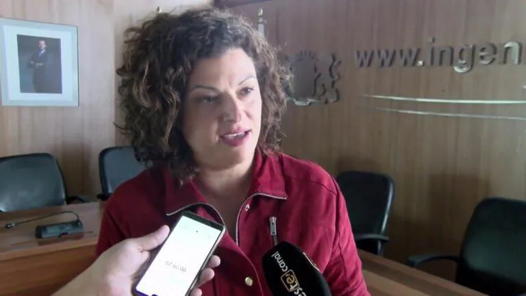 Modalidades del servicio de ayuda a domicilio