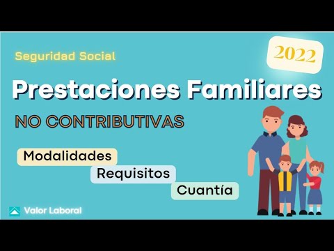 Ayuda familiar seguridad social