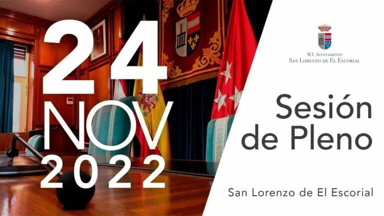 Ayuda al ciudadano san lorenzo