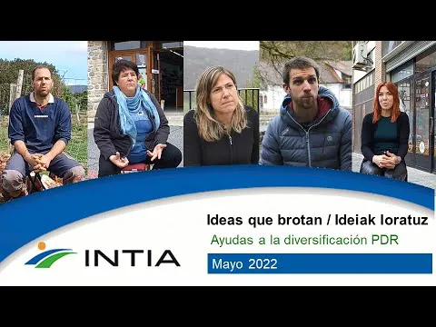 Ayudas creacion empresas navarra