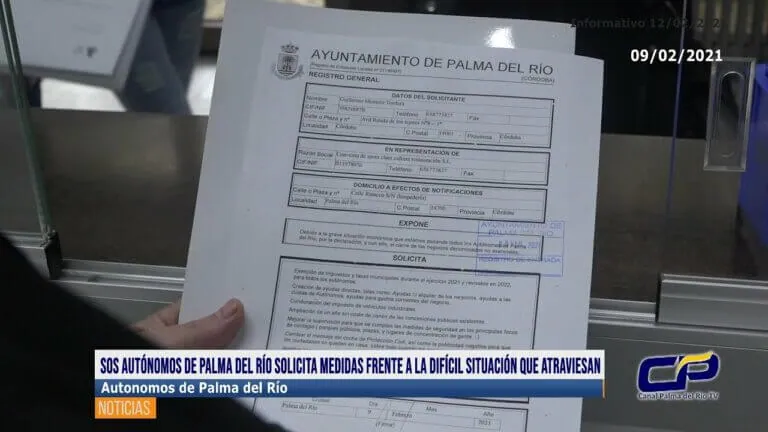 Ayuntamiento de palma ayudas alquiler