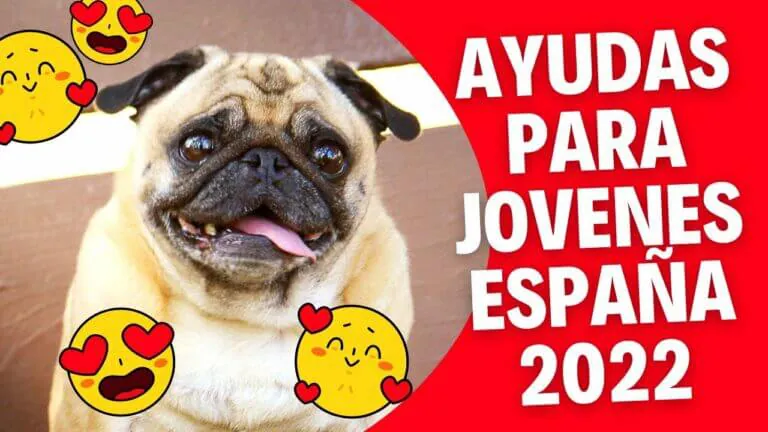 Ayudas para estudiantes desempleados