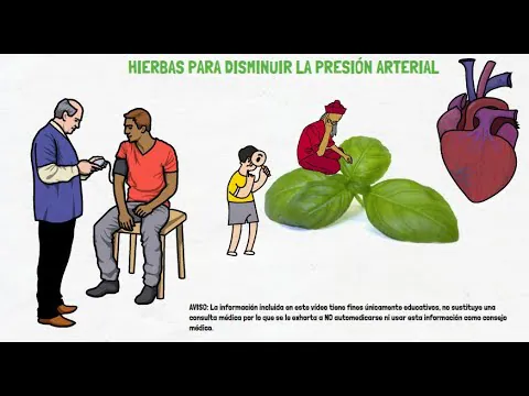 Infusiones que ayudan a bajar la tension