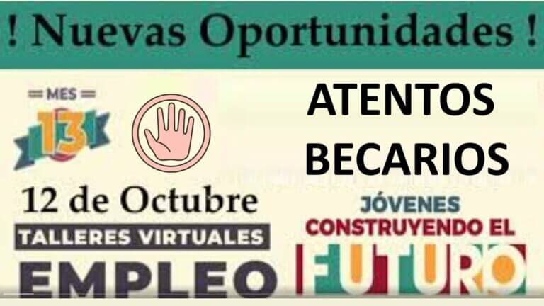 Jovenes construyendo el futuro pachuca