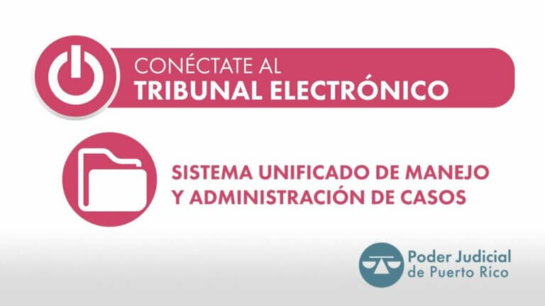 Guía de Modelo de Citación Judicial