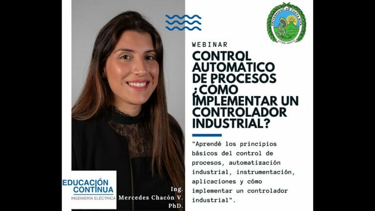 Automatización del Proceso: Eficiencia Garantizada