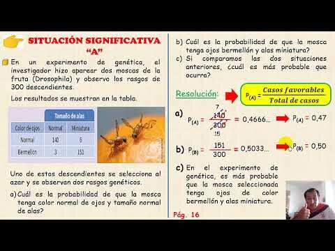 La caducidad de la condición de víctima de violencia de género.