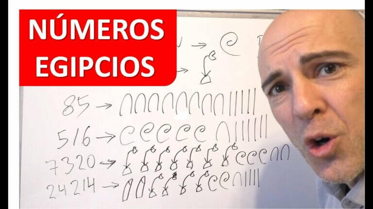 Clasificación CEE 70/156: Guía Completa y Optimizada