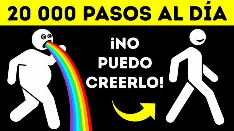 ¿Cuántos kilómetros equivalen a 20000 pasos?