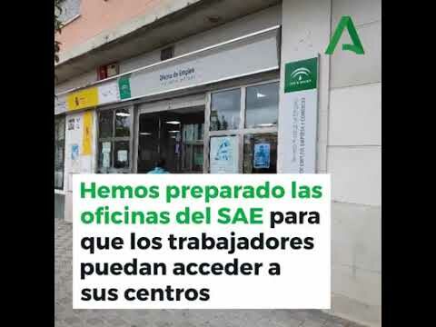 Cómo solicitar cita previa con la Junta de Andalucía