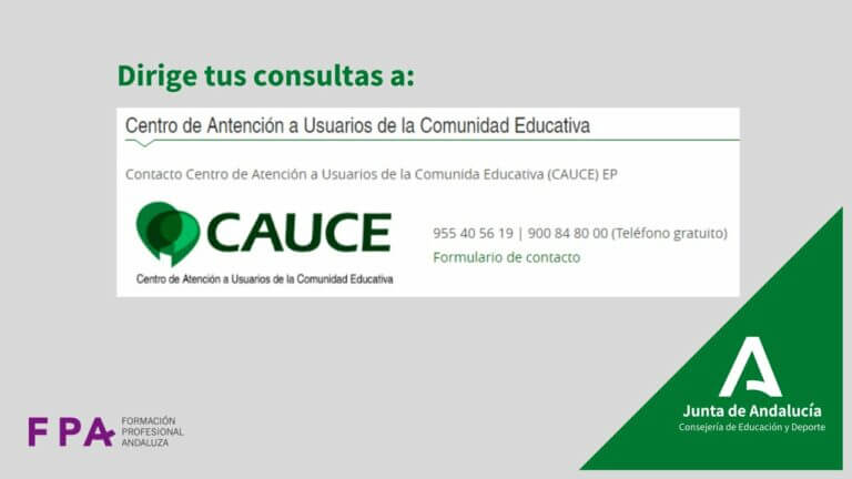 La Educación de Grados Medios en Andalucía