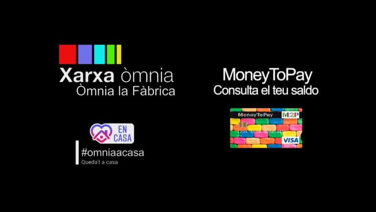 Cómo consultar saldo en Moneytopay: Guía rápida