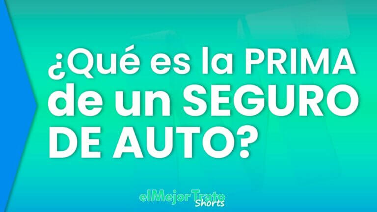 Opiniones de Prima Seguro Coche: Análisis Detallado