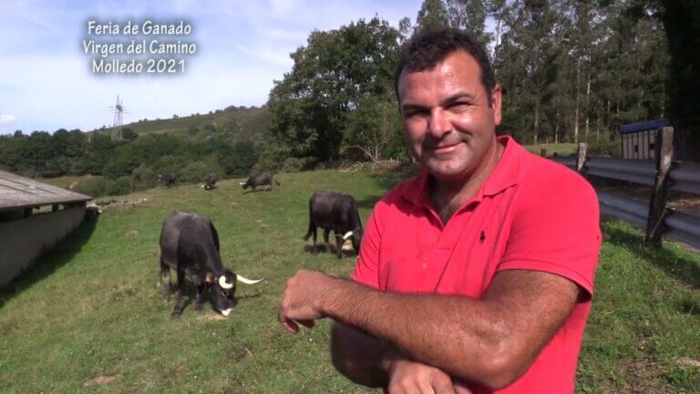 Ferias de Ganado en Cantabria: Tradición Anual