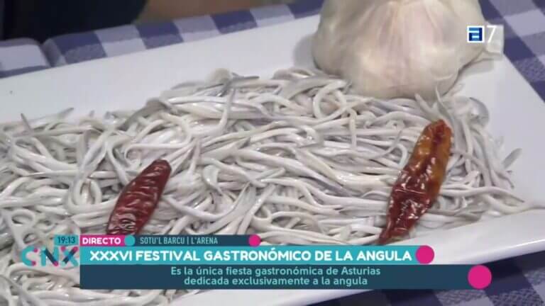 Todo sobre el festival de la angula: tradición y delicias culinarias