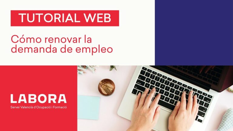 Renovar Servef: Guía completa para actualizar tus datos laborales